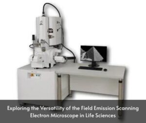 Exploring the Versatility of the Field Emission Scanning Electron Microscope in Life Sciences