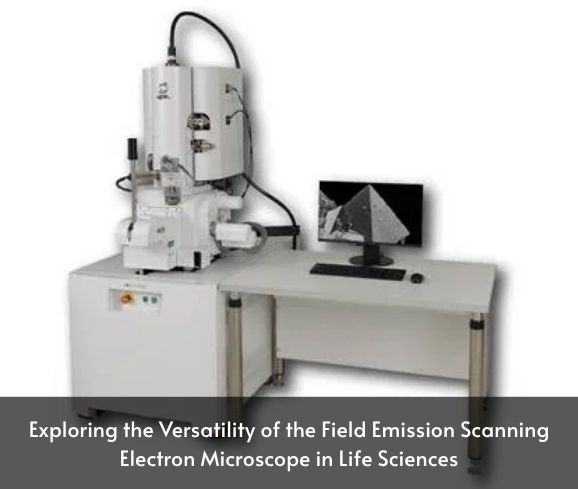Exploring the Versatility of the Field Emission Scanning Electron Microscope in Life Sciences